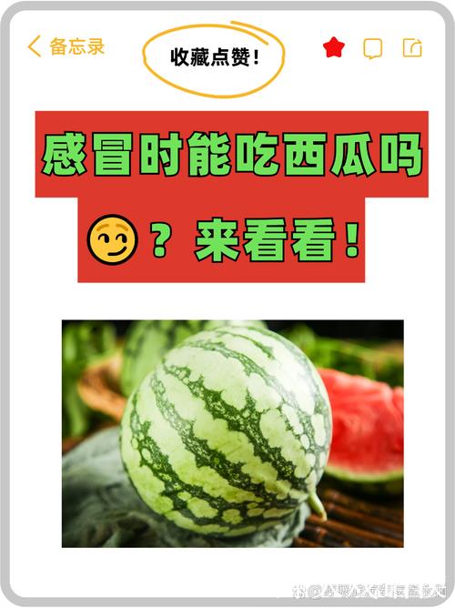 今日热点：吃瓜无极限，91次尝鲜！